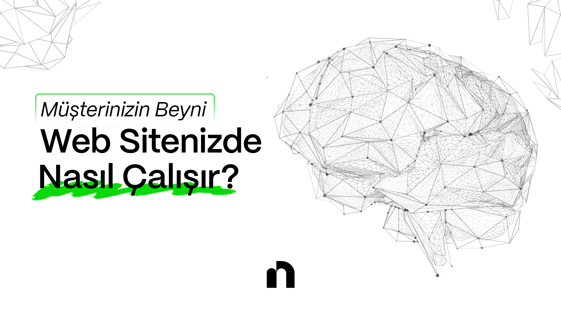 Nöropazarlama ile Web Sitesi Dönüşüm Optimizasyonu (CRO): Nette’nin 7 Beyin Odaklı Prensibi